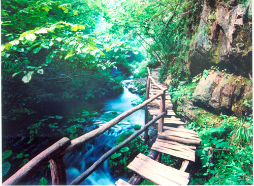 ջŷ