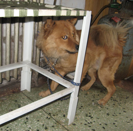 С