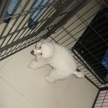 Ȯչʾ