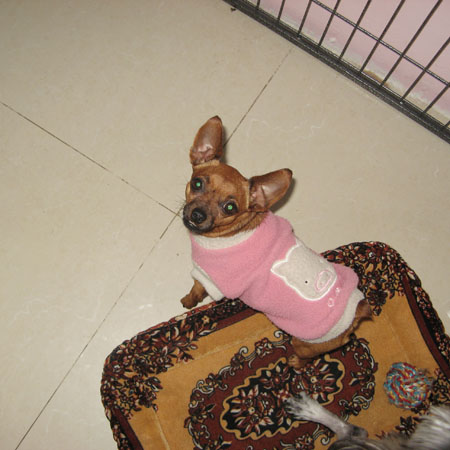 Ȯչʾ