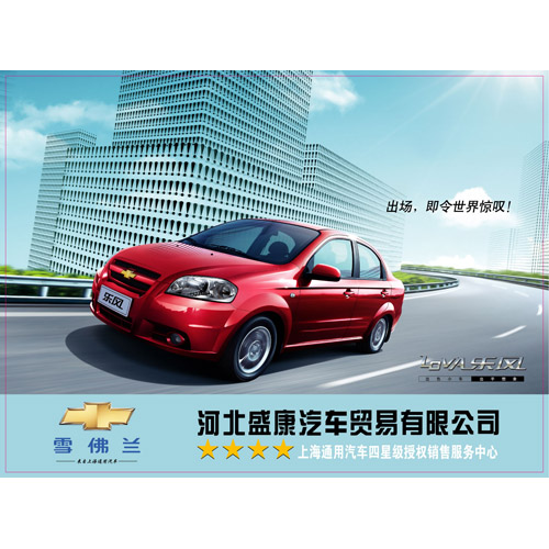 河北盛康汽车贸易有限公司