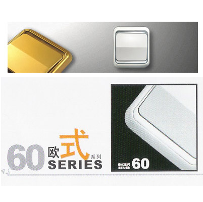 60ŷʽϵ