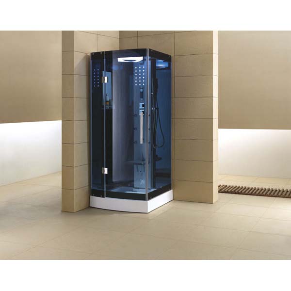 ϵ WS-301A
