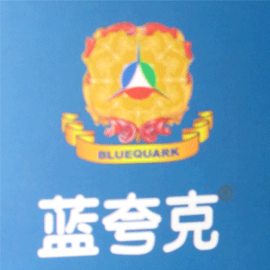 石市桥东区蓝夸克产品销售部