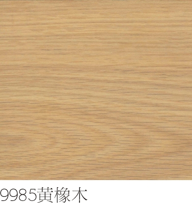 ϵ9985ľ