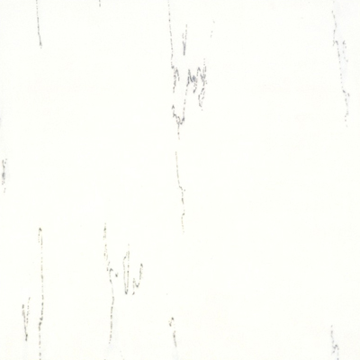 ϵ1