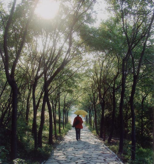 抱犊寨风景区