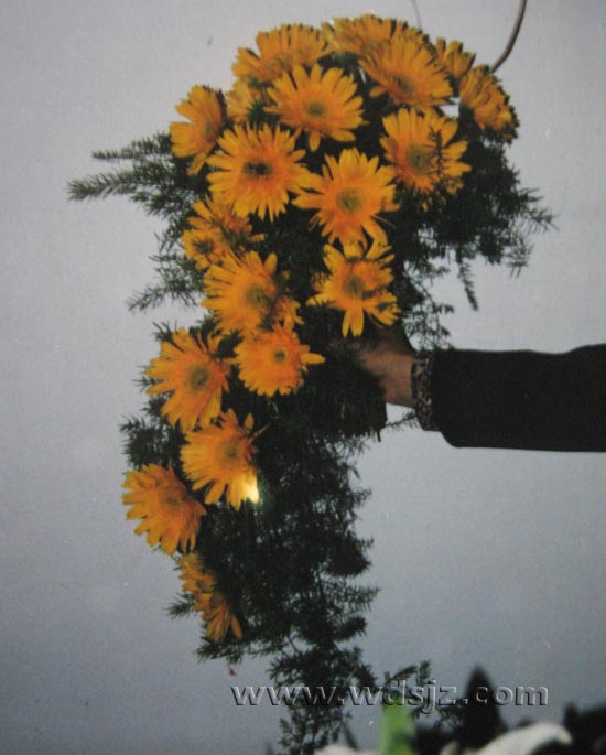 ʻƷ