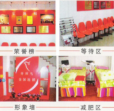 纤丝鸟各区 